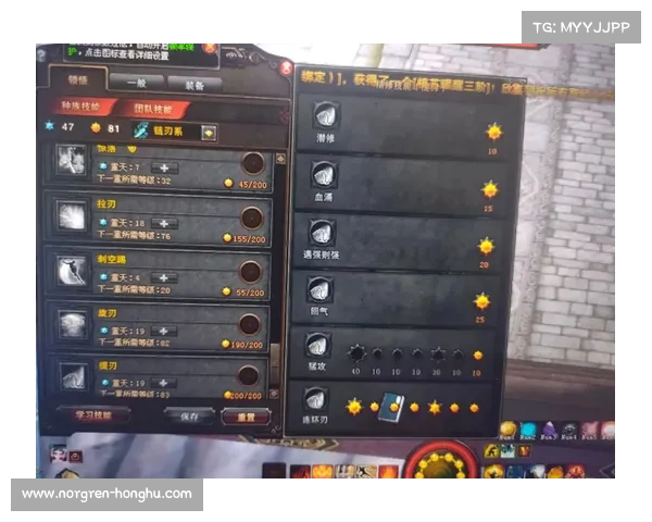 全面解析斗战神龙女刺客技能与装备搭配策略