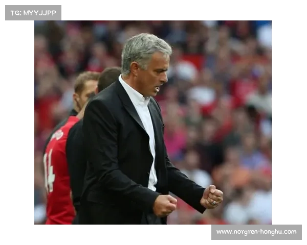 巴舒亚伊的语言魅力：风靡大千世界