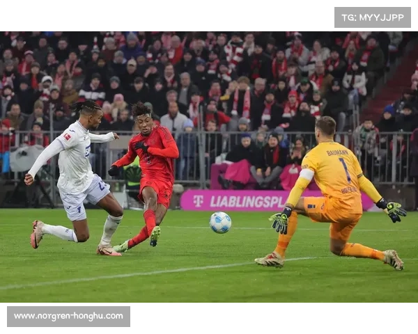 德甲其他球队为何长期难以超越拜仁及其背后的深层原因分析